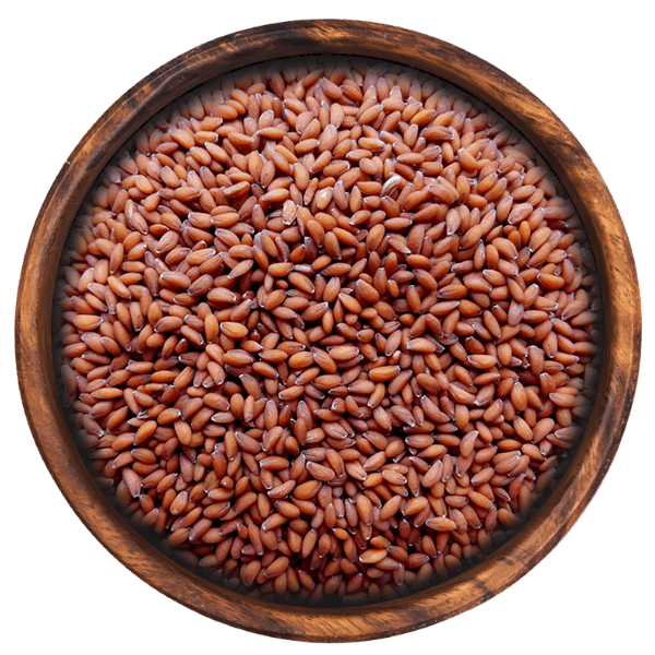 Asaliya ( Garden Cress Seeds)