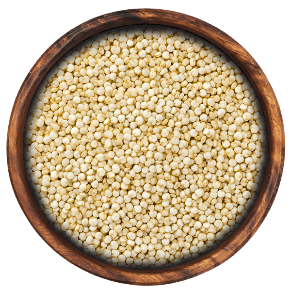 Quinoa