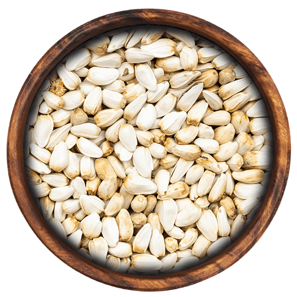 Kasum Beej (Safflower Seeds)